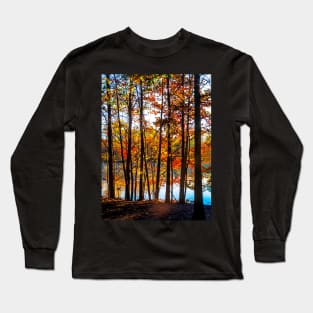 Colorful Contrasted Trees Long Sleeve T-Shirt